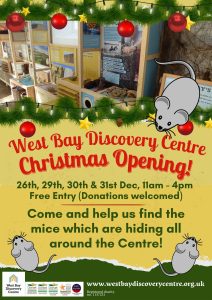 Poster for christmas mouse Hunt at the Discovery Centre