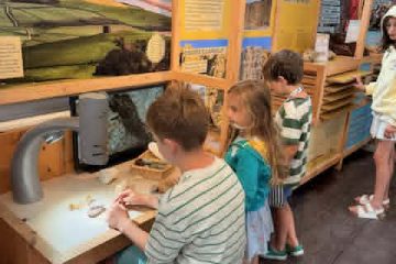 Children viewing through the microscope at West Bay Discovery Centre